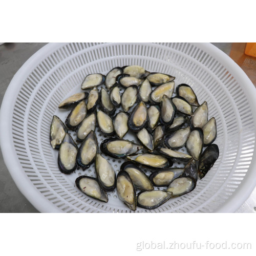 Cooked Frozen Clams In Shell Seafood Frozen Half Shell Mussels Factory